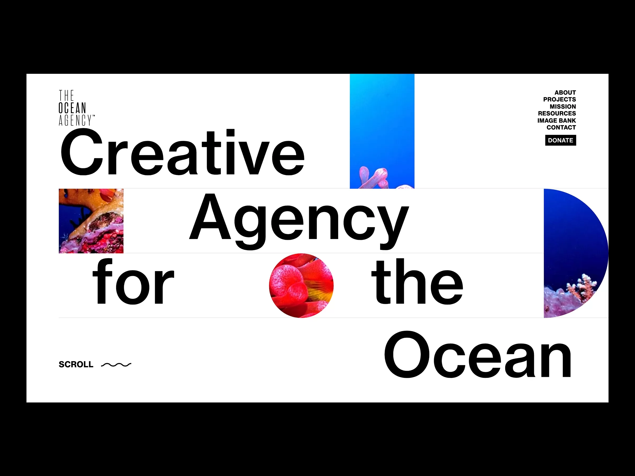 The Ocean Agency Thumbnail